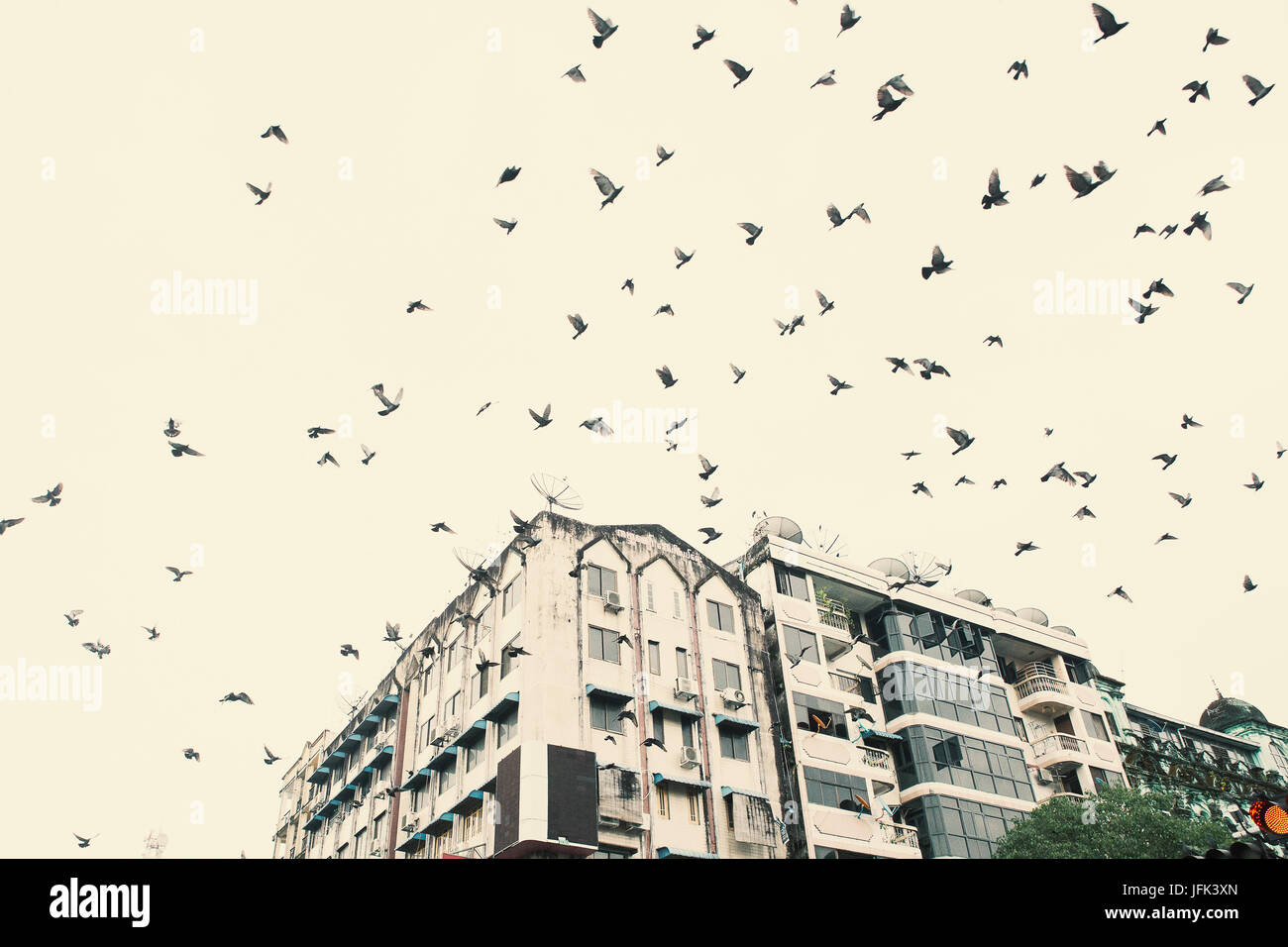 Yangon/Rangun Straßenansicht - Innenstadt Hauptstadt Rangun Myanmar - Reise-Foto. Stockfoto