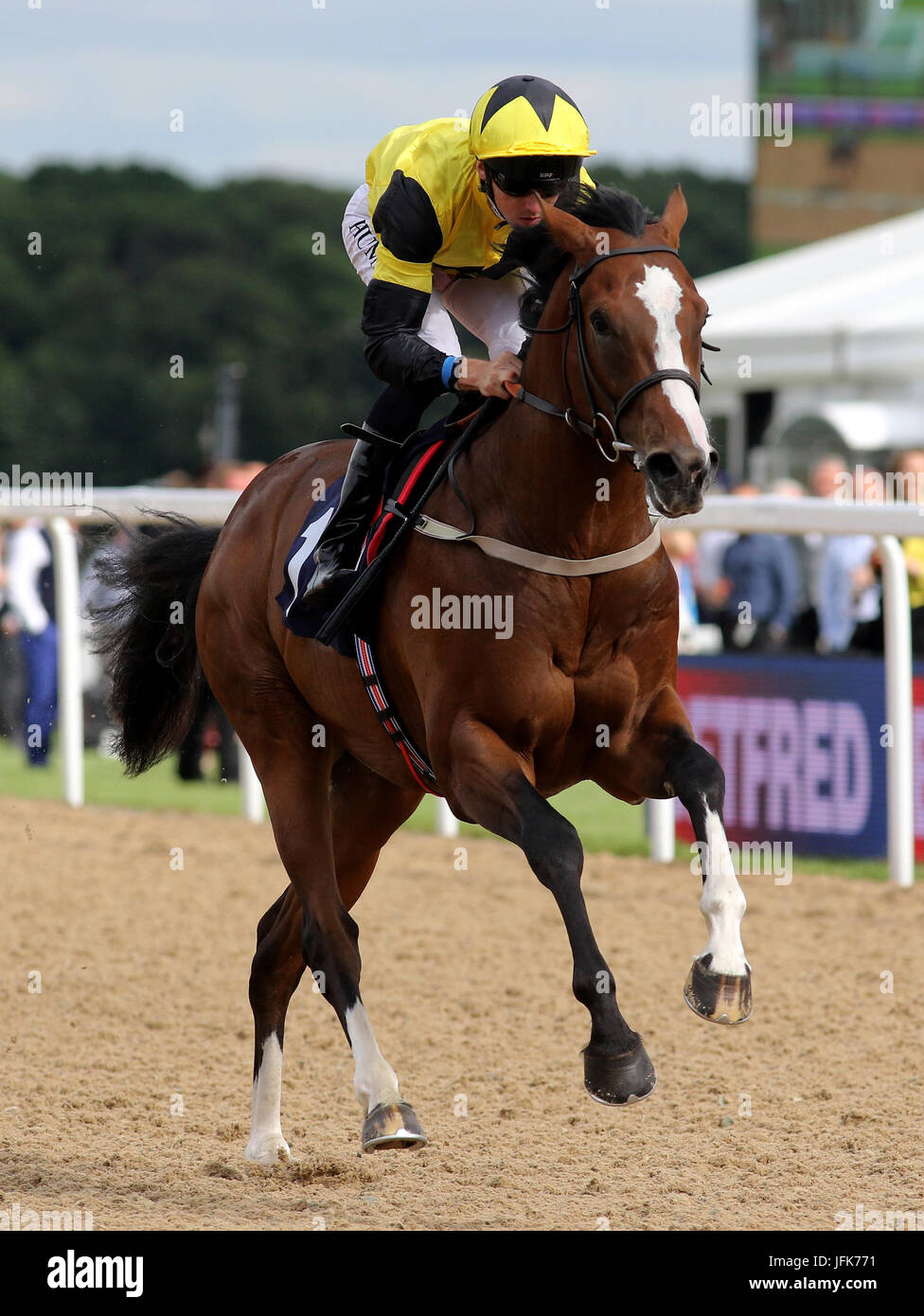 Haddaf geritten von Martin Harley gewinnt die Betfred "Watch Sky Sport In unsere Läden" EBF Anfänger Einsätze tagsüber Betfred Northumberland Platte in Newcastle Racecourse. Stockfoto