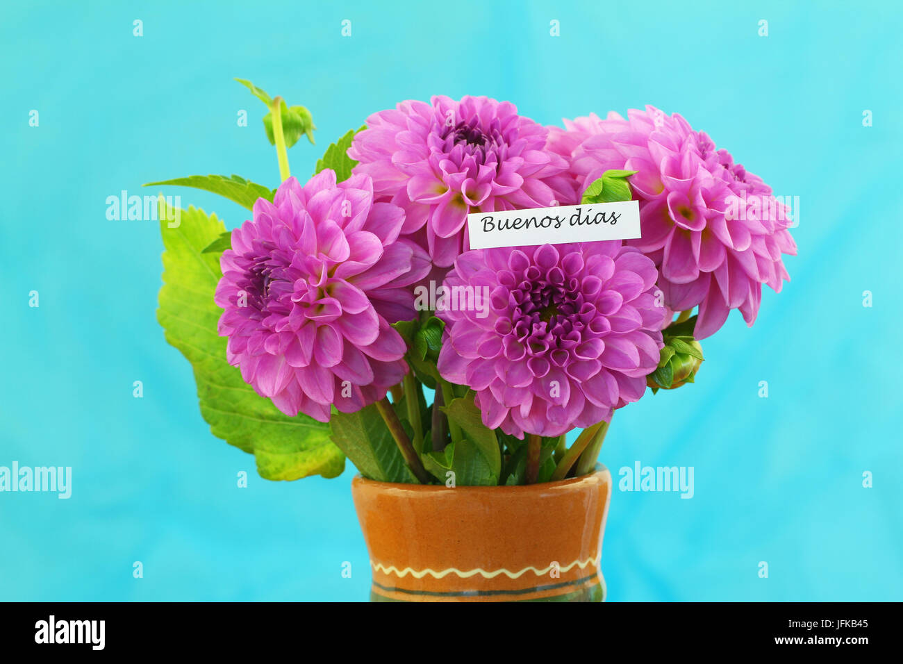 Buenos Dias D H Guten Morgen In Spanisch Mit Rosa Dahlie Bouquet Stockfotografie Alamy