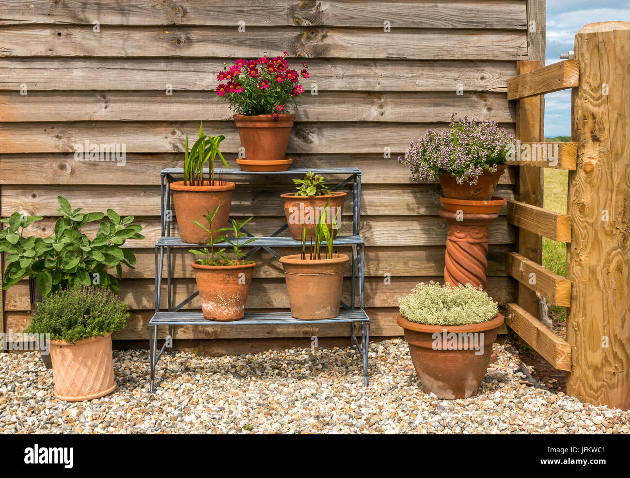 Hübsche Anordnung der Terrakotta Blumentöpfe im freien gegen ein Gartenhaus Stockfoto