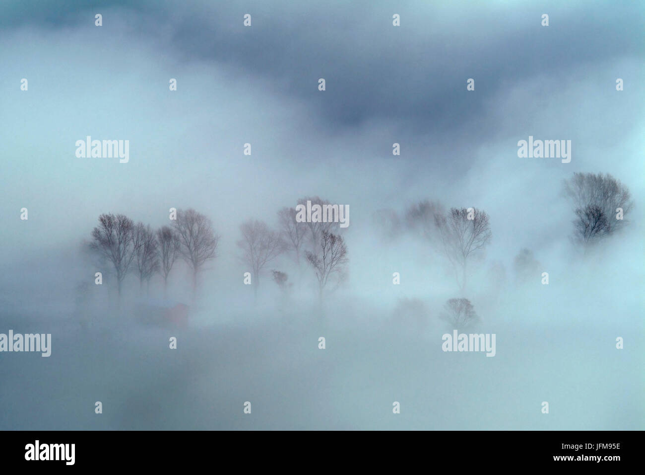 Im Naturschutzgebiet Pian di Spagna einen dichten Nebel verbirgt alles, aus dem Felsen von Dascio ist es möglich, die Reserve, Lombardei Italien Europa bewundern Stockfoto