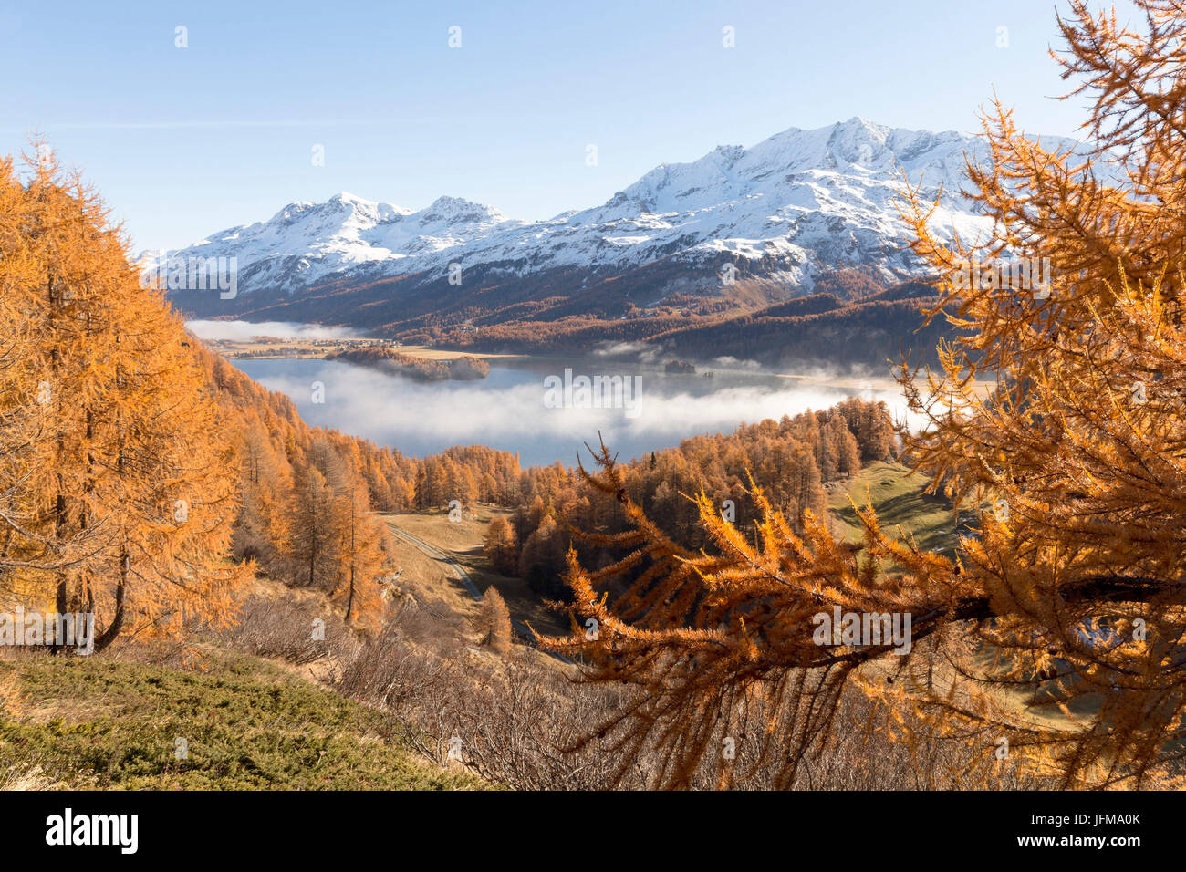 Herbst im Engadin, Schweiz Stockfoto