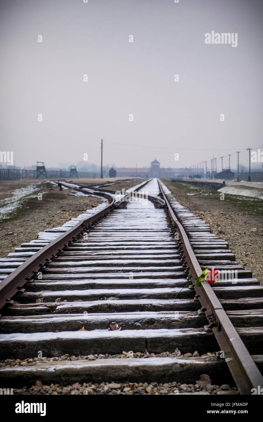 Auschwitz, Oswiecim, Birkenau, Birkenau, Polen, Nord-Ost-Europa, Eisenbahn in Nazi-Vernichtungslager, Stockfoto