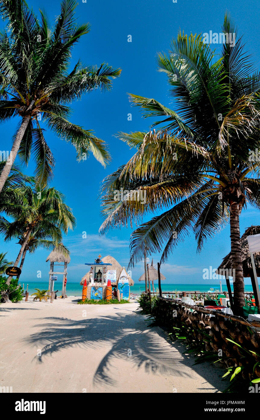 Typisches Bild von einem paradiesischen Strand mit Palmen in Holbox Insel, Mexiko, Quintana roo Stockfoto