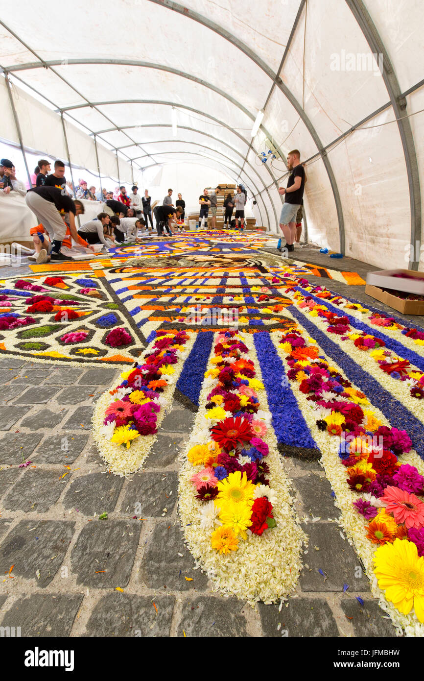 Europa, Umbrien, Italien, Perugia Bezirk, Spello, Heilige Künstlerpersönlichkeiten realisiert mit Blumen anlässlich der Fronleichnam Stockfoto