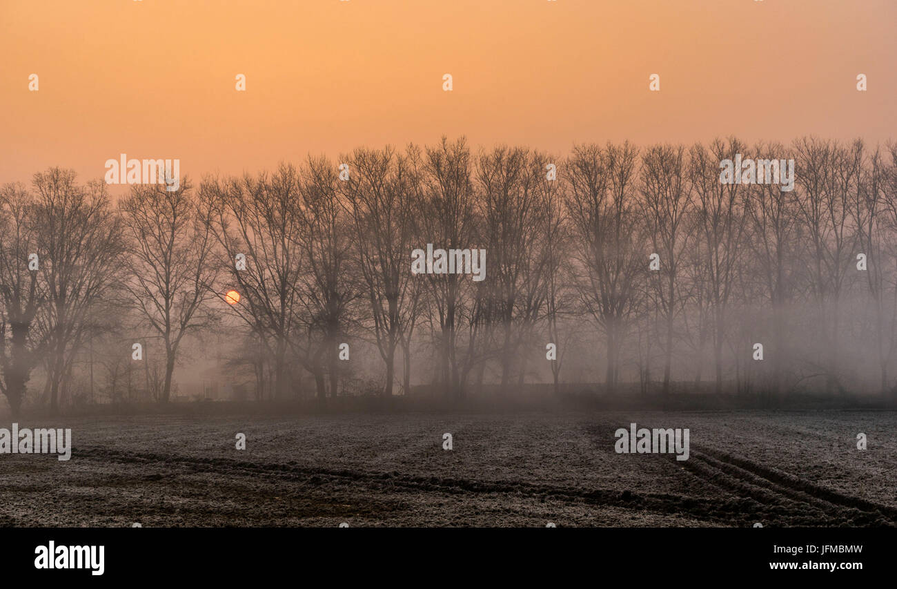 Po-Ebene, Binasco, Lombardei, Nebel in der Po-Ebene in der Morgendämmerung, Stockfoto