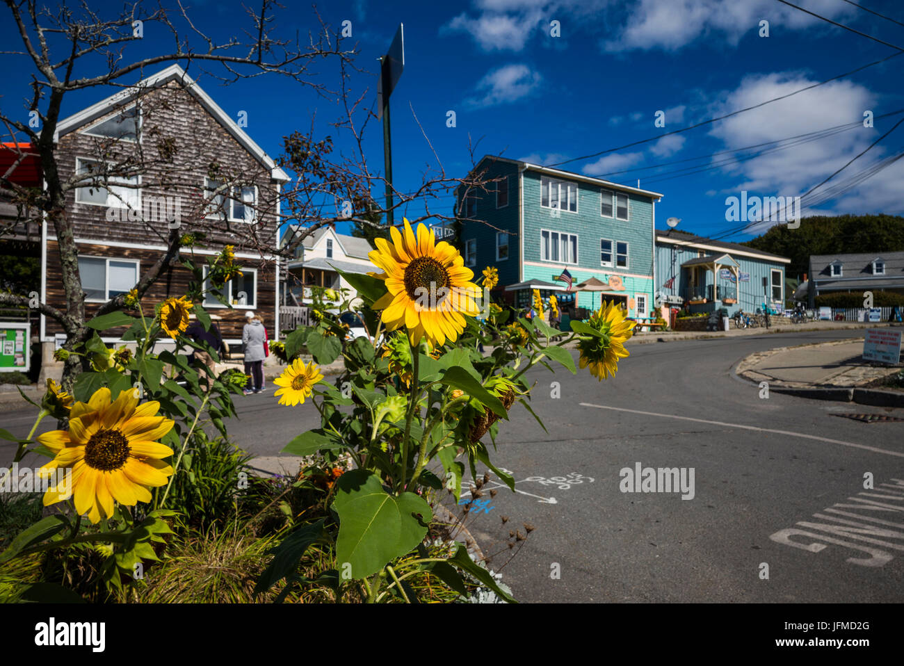 USA, Maine, Portland, Casco Bay, Spitzen Insel, Welch Street Stockfoto
