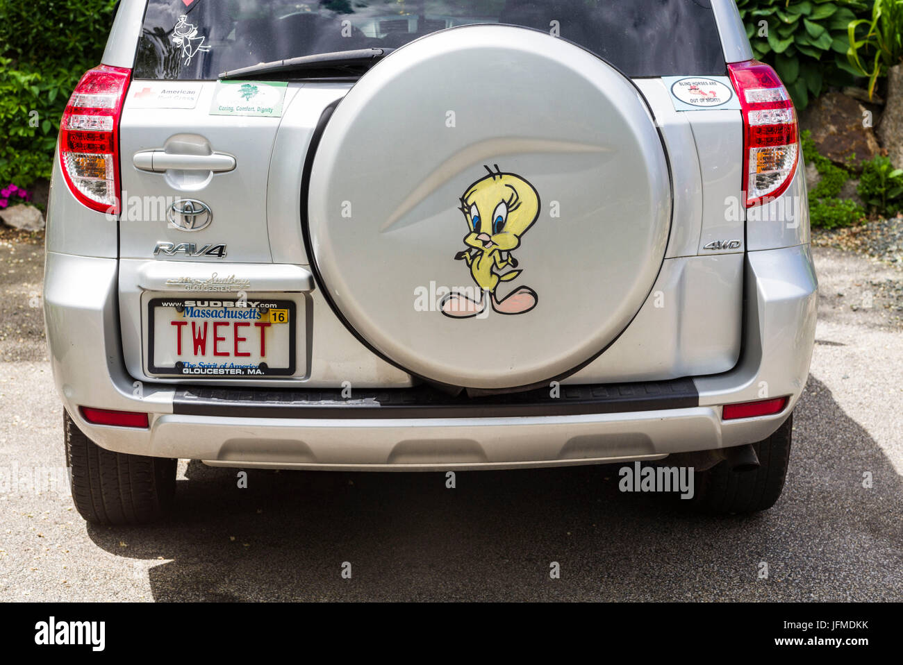 USA, Massachusetts, Cape Ann, Lanesville, Tweety Bird Charakter auf Auto Stockfoto