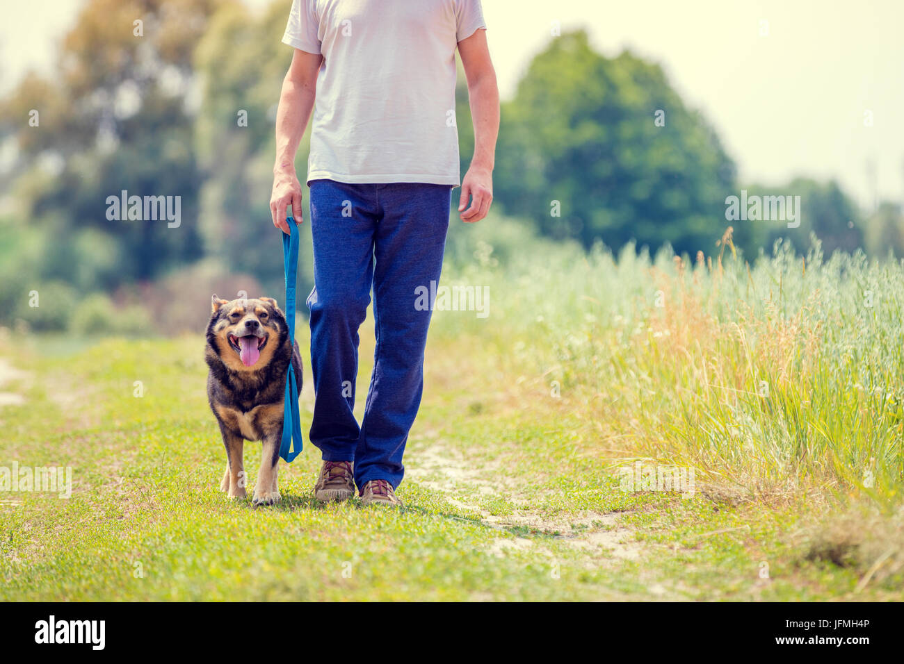 Mann mit Hund an der Leine gehen auf Feldweg im Feld im Sommer Stockfoto
