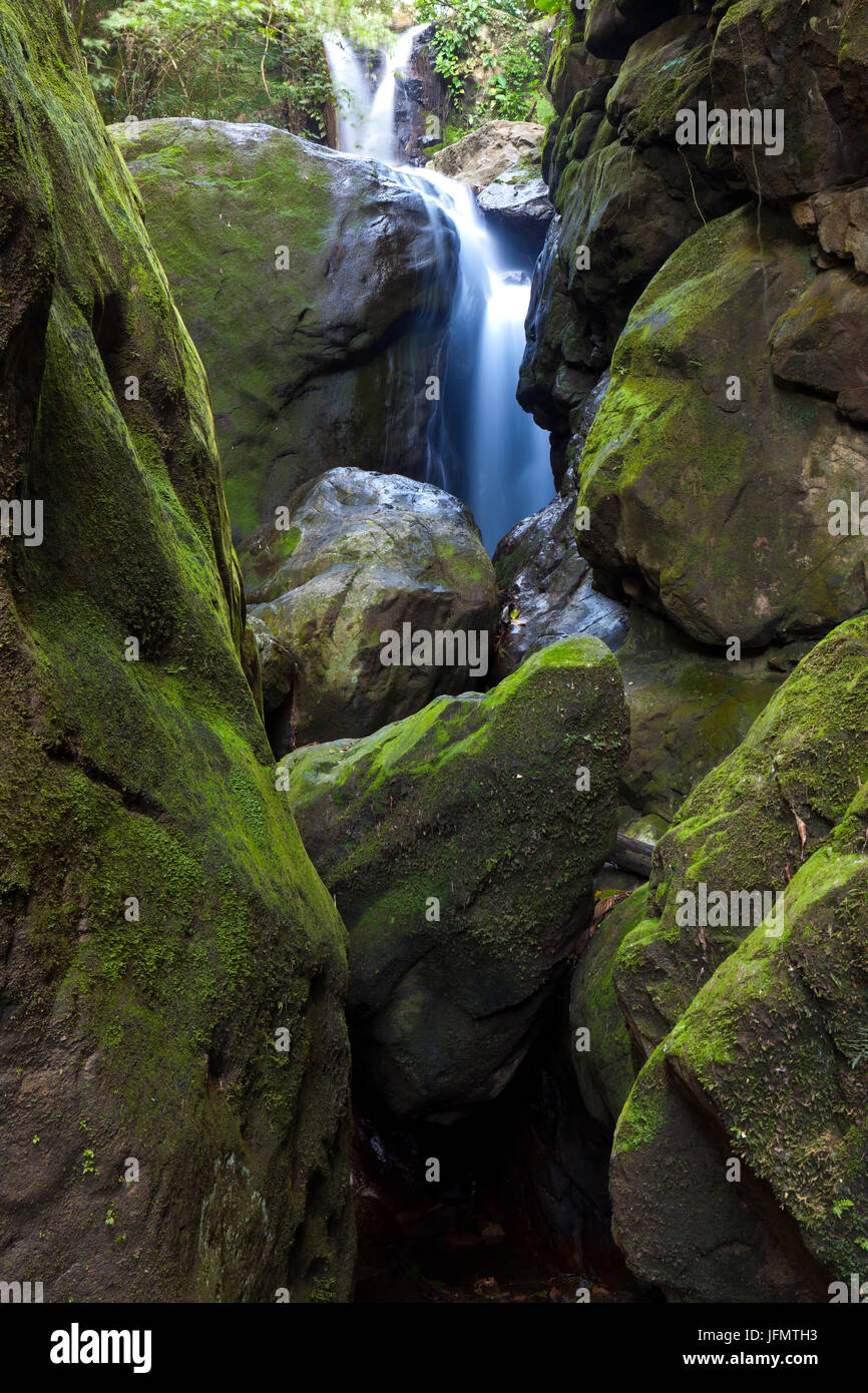 Grünes Moos auf großen Felsbrocken am Chorros Las Yayas Wasserfälle, Cocle Provinz, Republik von Panama. Stockfoto
