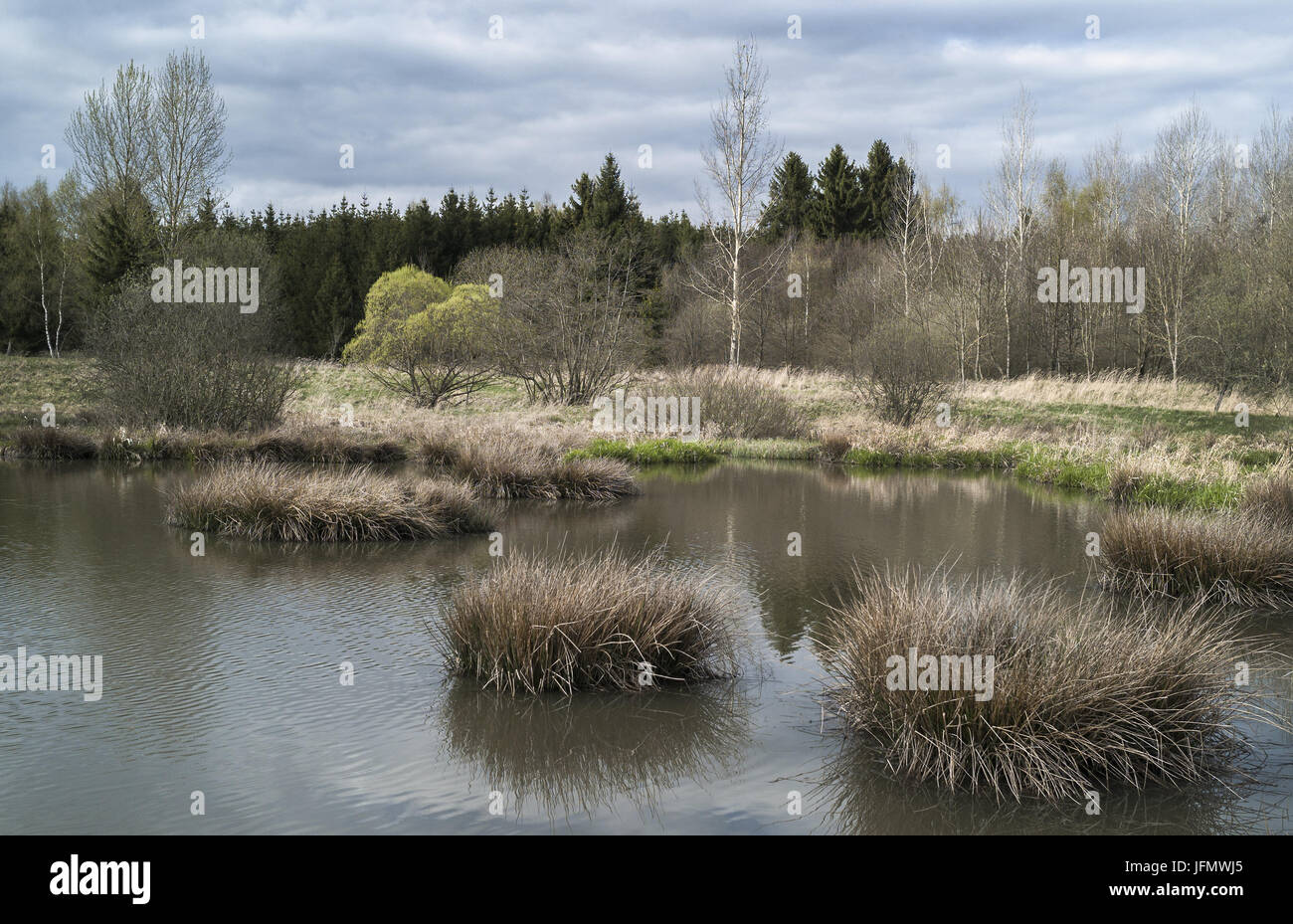 Teich Landschaft im Naturschutzgebiet Stockfoto