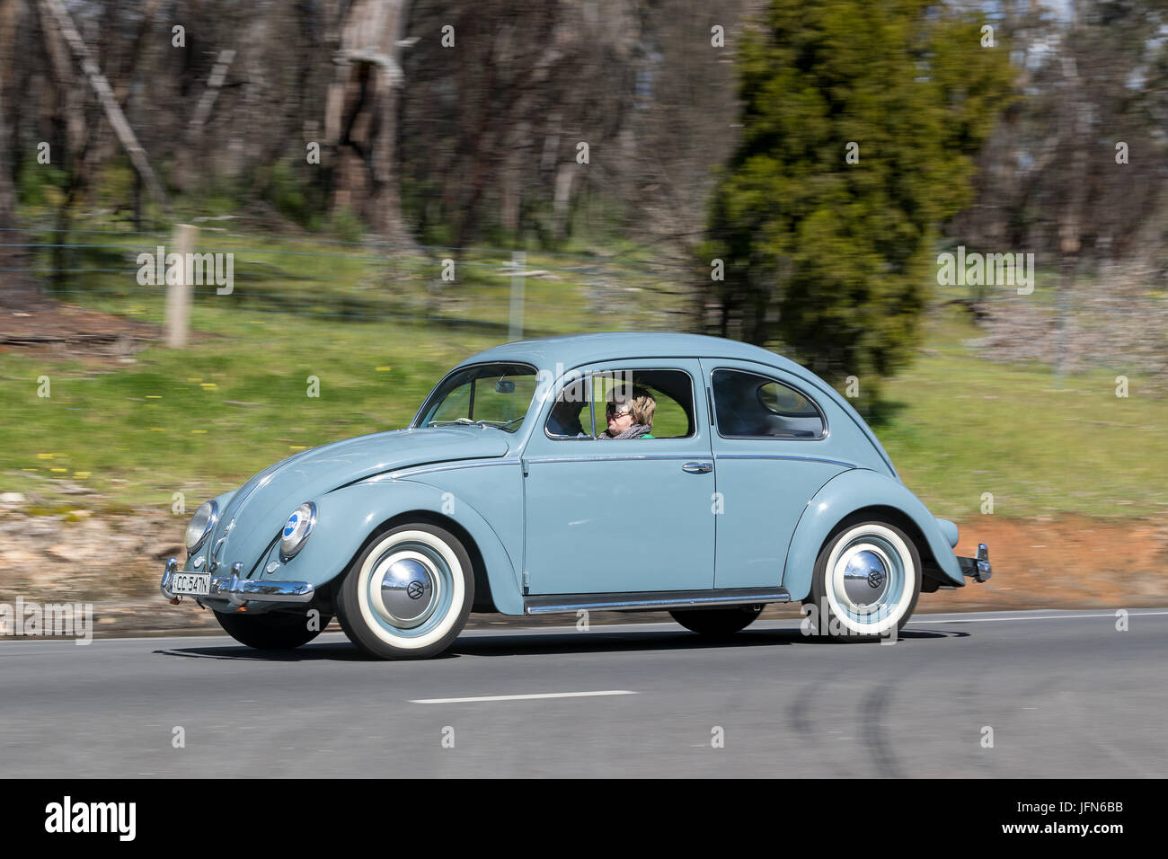 Oldtimer VW Käfer fahren auf der Landstraße in der Nähe der Stadt Birdwood, South Australia. Stockfoto