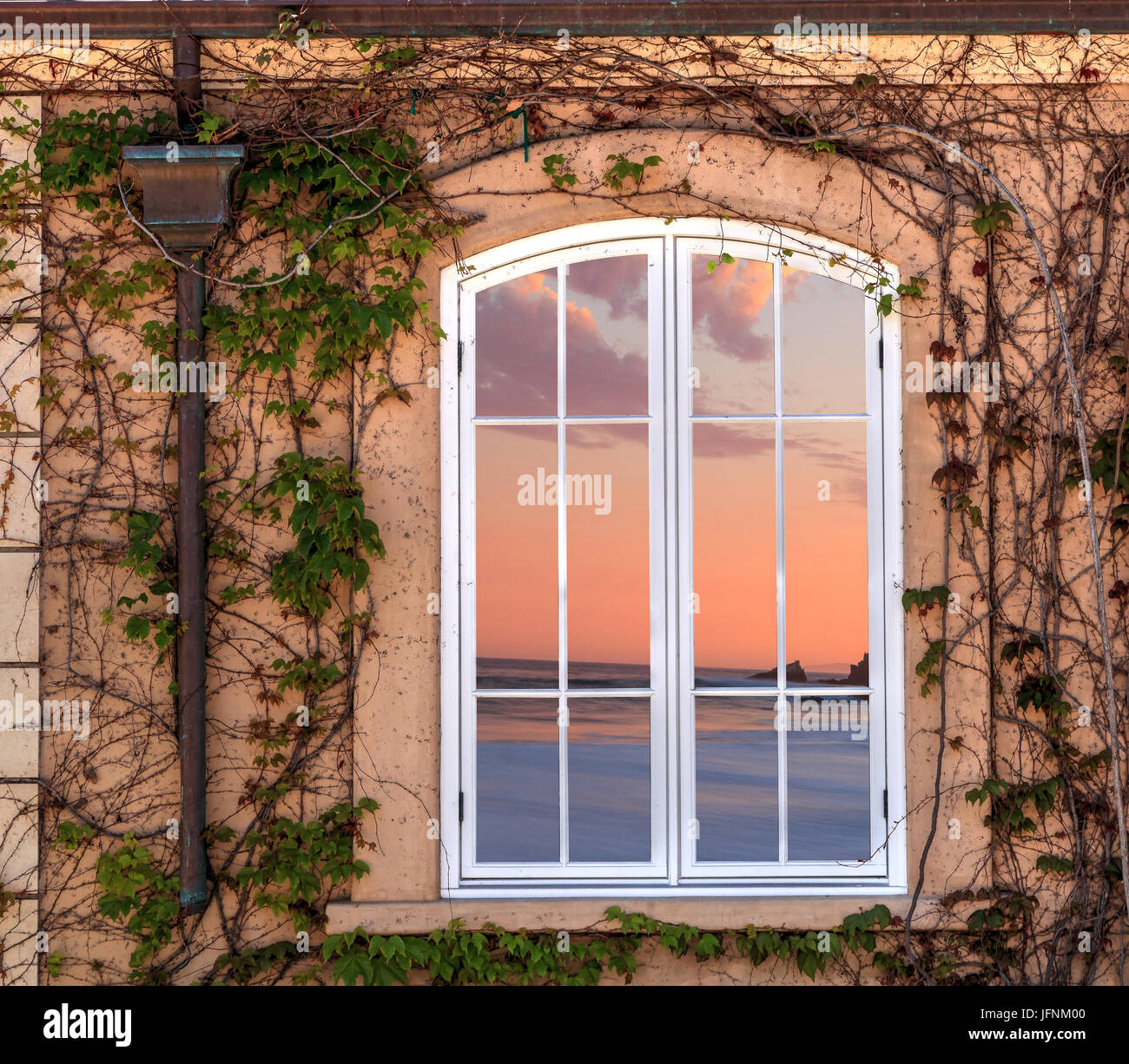 Ivy Rebe wächst ein Haus Stockfoto