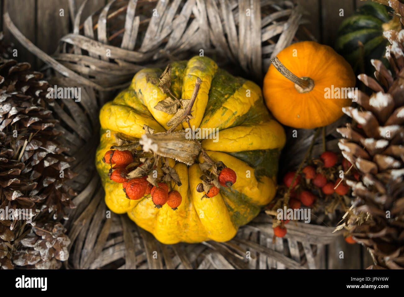 Saisonale Herbst Kürbis Tabelle Dekor für Urlaub Hintergrund von oben Stockfoto