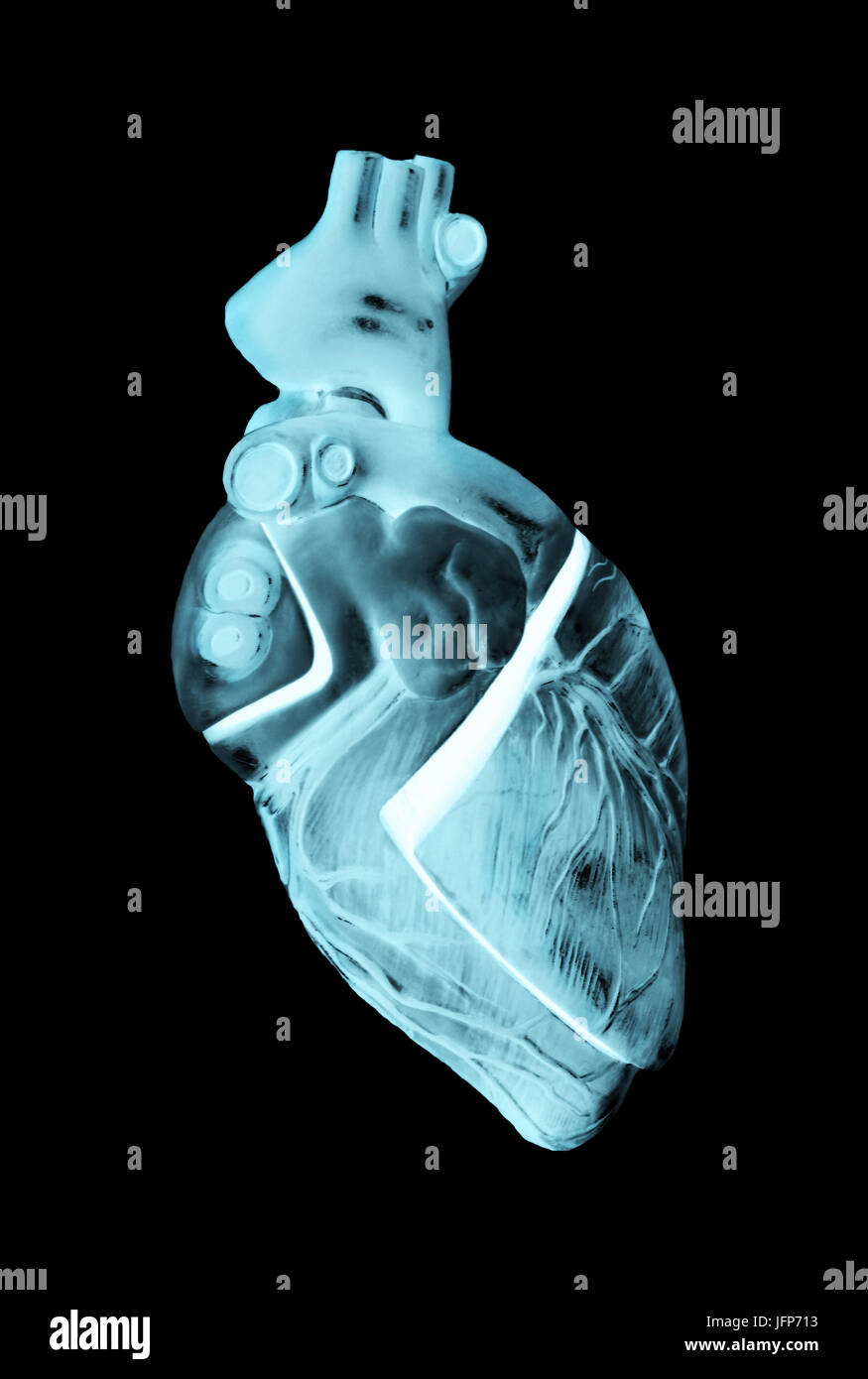 3D-Abbildung: Röntgenbild eines menschlichen Herzens Stockfoto