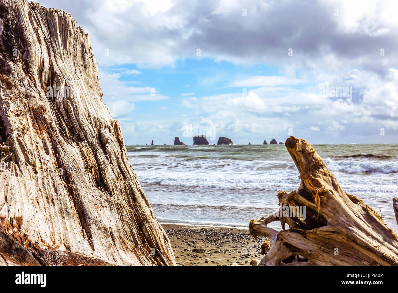 Strand von La Push Stockfoto