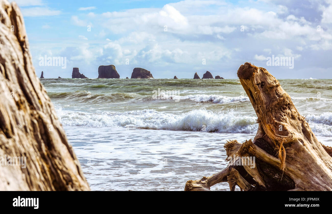 Strand von La Push Stockfoto