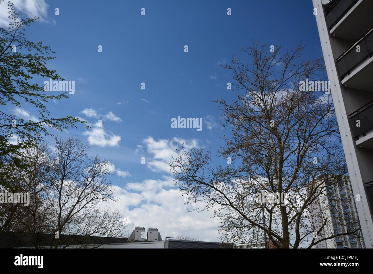 Frühlingsimpressionen aus Berlin Spandau am 11. April 2017, Deutschland Stockfoto