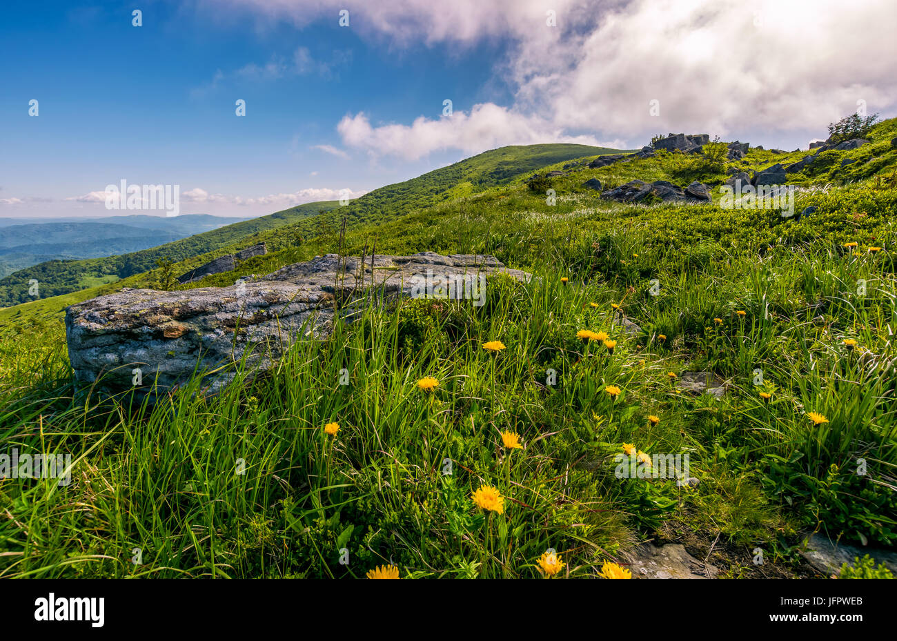 Löwenzahn zwischen den Felsen in Karpaten Alpen. Schweren Wolken am blauen Himmel über die Berggipfel in der Ferne.  Lebendige Sommerlandschaft bei Sonnenuntergang. Stockfoto