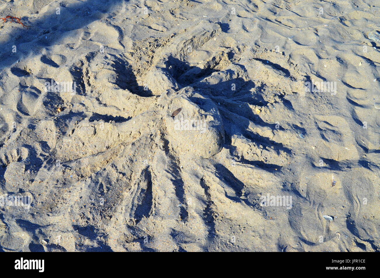 Kopf-Skulptur am Strand über Medusa Stockfoto