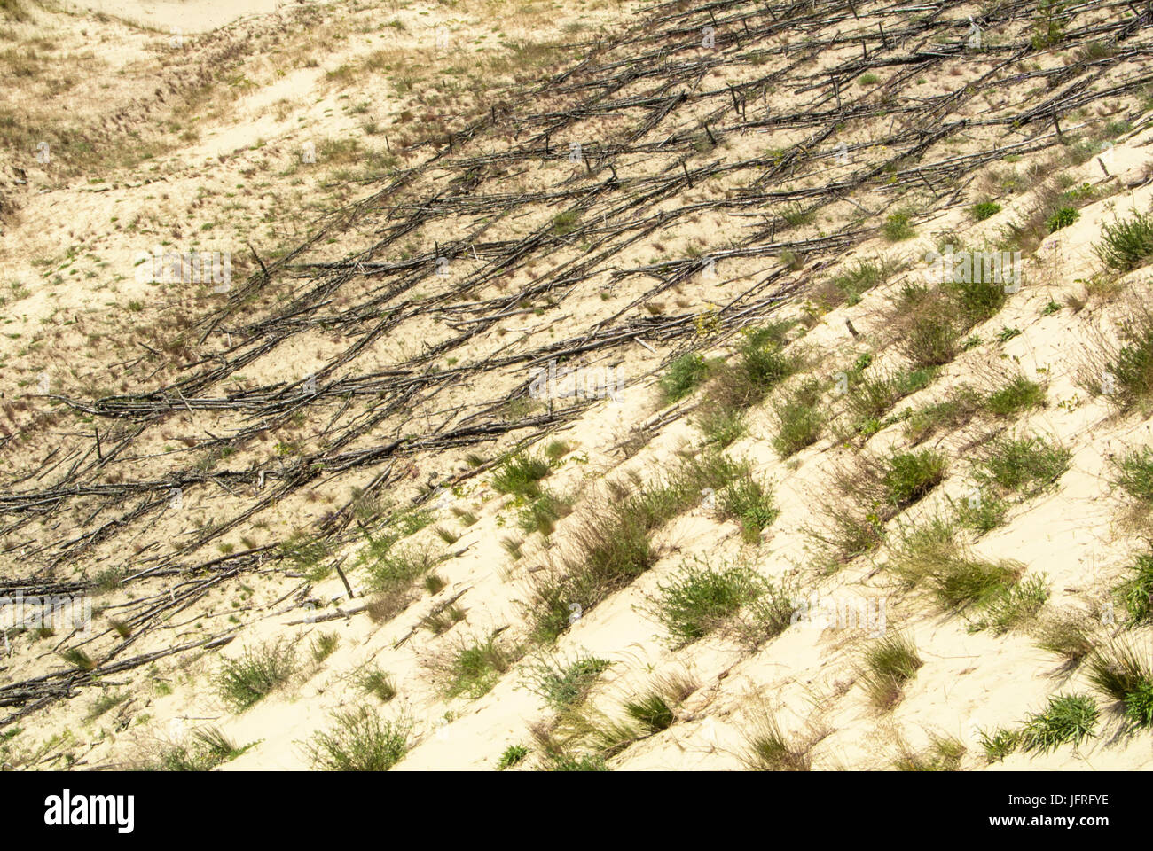 Düne Schutz der Holzkonstruktion über dem Sand am natürlichen Park der