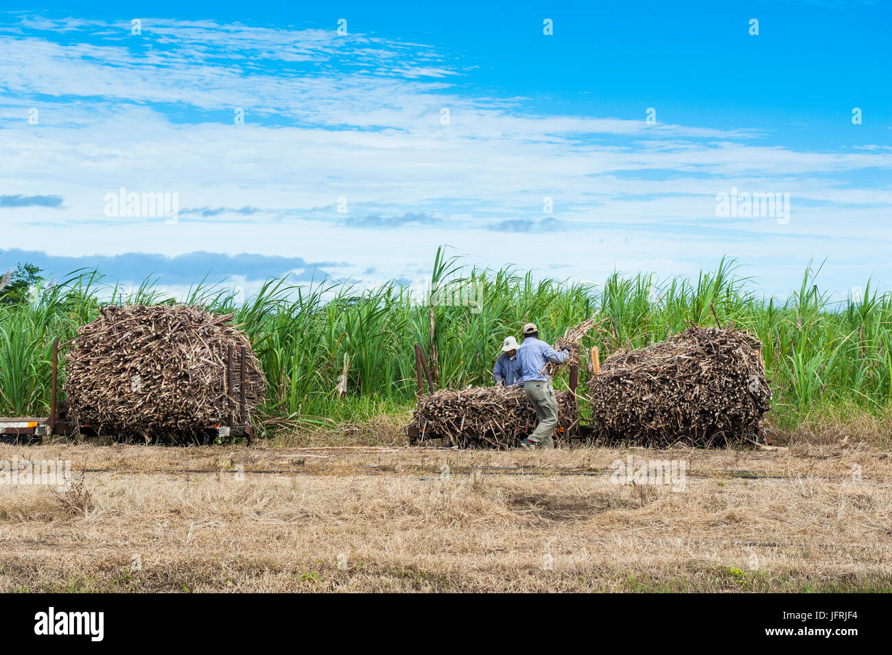 Sugar Cane Train, Coral Coast, Fidschi, South Pacific Stockfoto