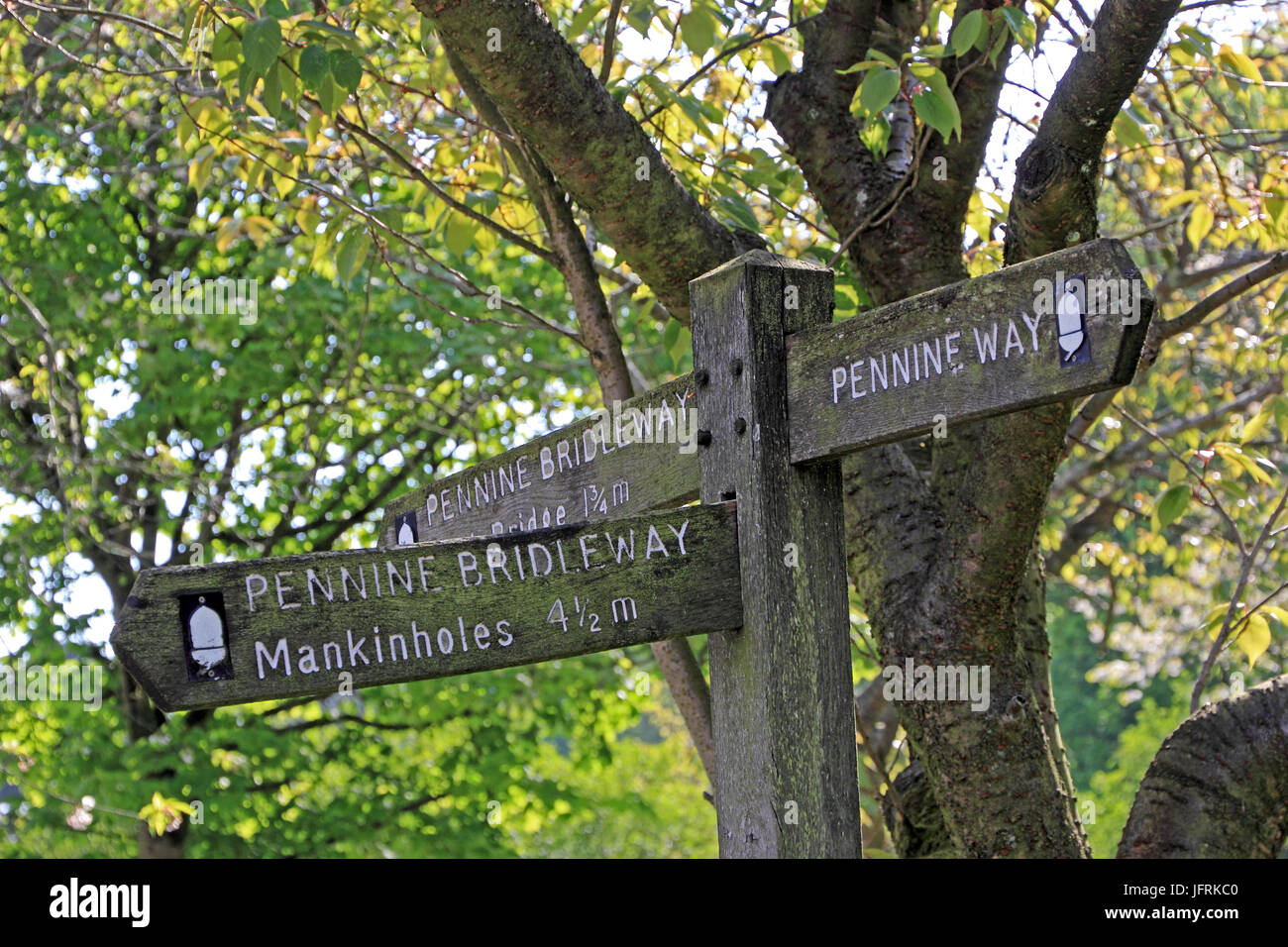 Wegweiser aus Holz für Pennine Bridleway und Pennine Way, Hebden Bridge Stockfoto