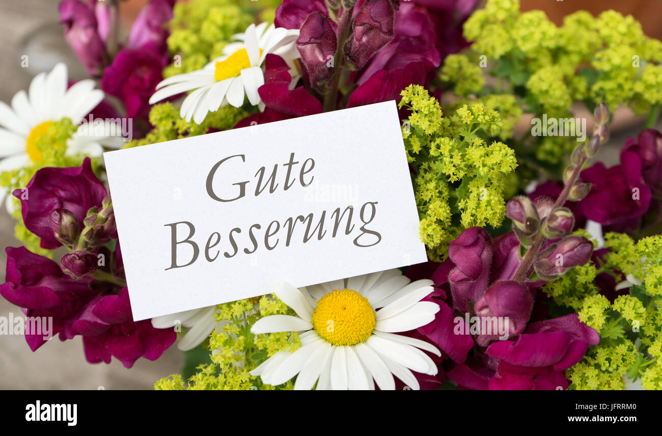 Grußkarte mit Löwenmäulchen, Margeriten und deutscher Text: gute Besserung Stockfoto