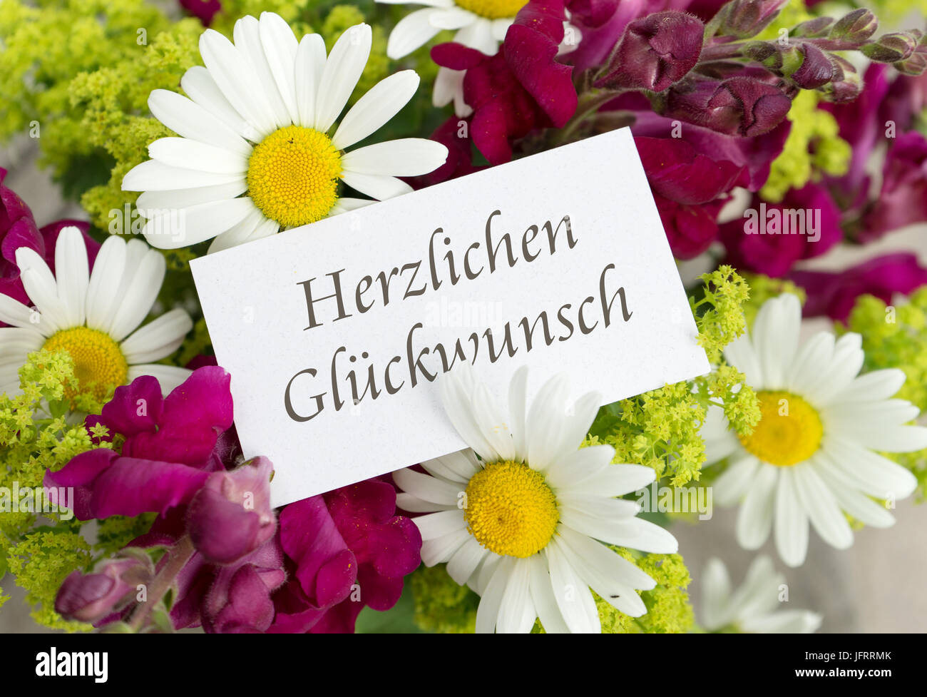 Grußkarte mit Löwenmäulchen, Margeriten und deutscher Text: Herzlichen Glückwunsch Stockfoto