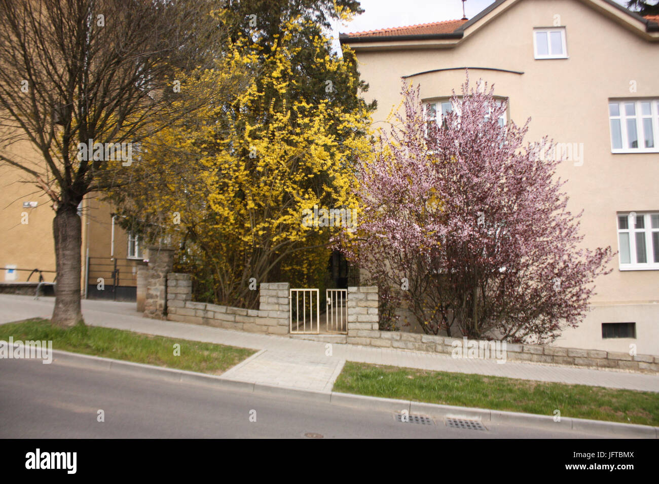 1.díl HTML-ef9a295 Stockfoto