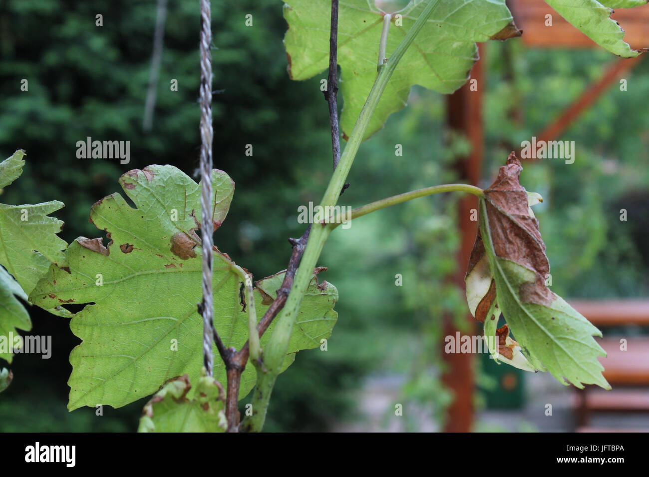 1.díl HTML-m3883295d Stockfoto