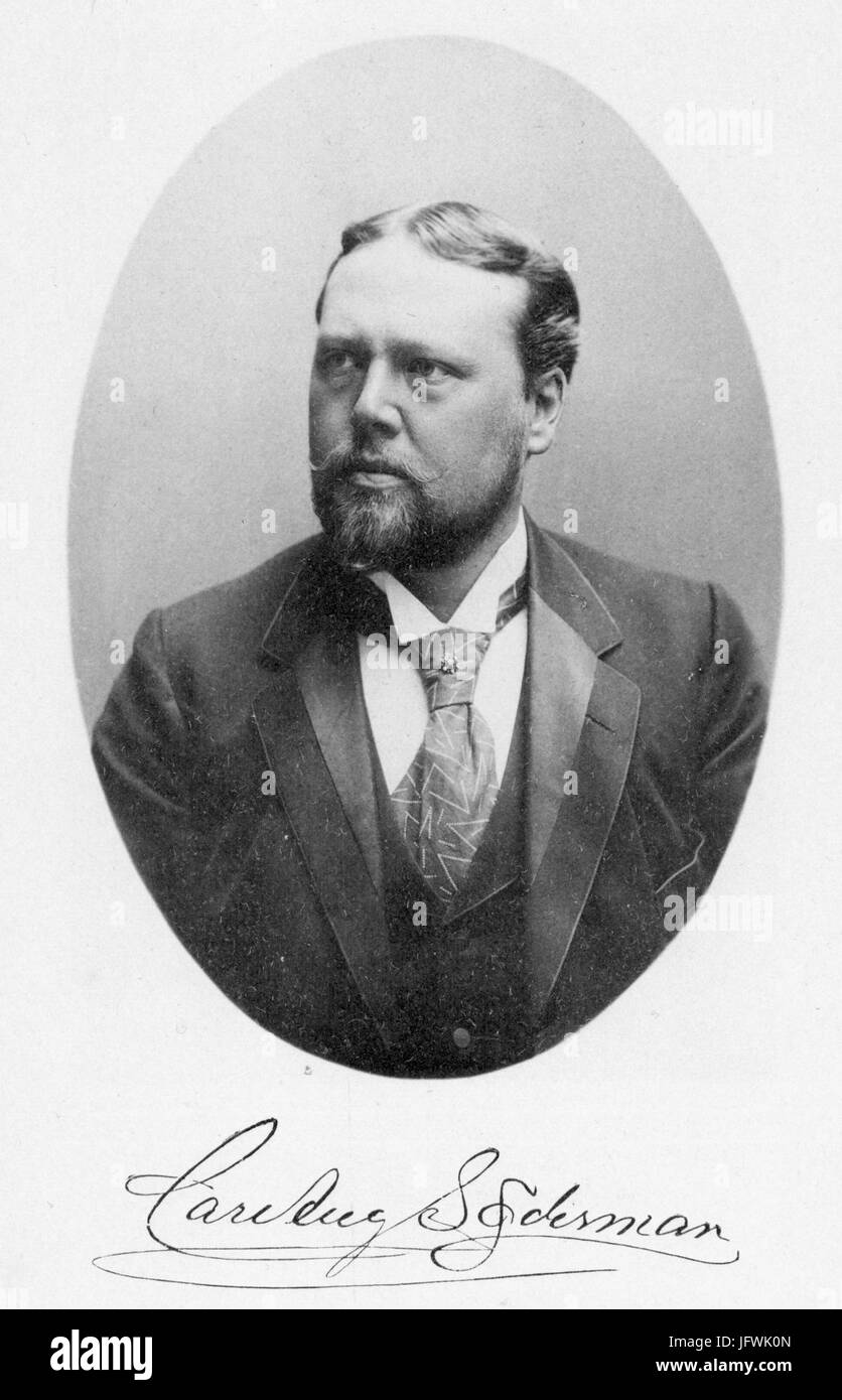 Carl August Söderman - Wolfenstein Stockfoto
