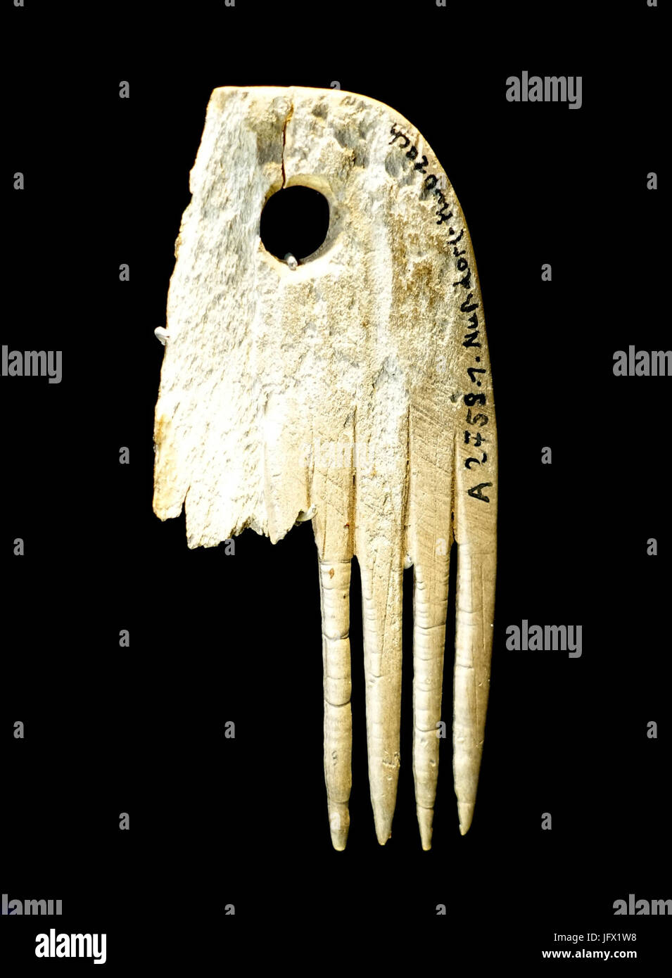 Kamm-Fragment, Uhldingen-Muhlhofen, Maurach, Bodenseekreis, 4. Jahrtausend v. Chr., Knochen - Landesmuseum Württemberg - Stuttgart, Deutschland - DSC0-49 Stockfoto