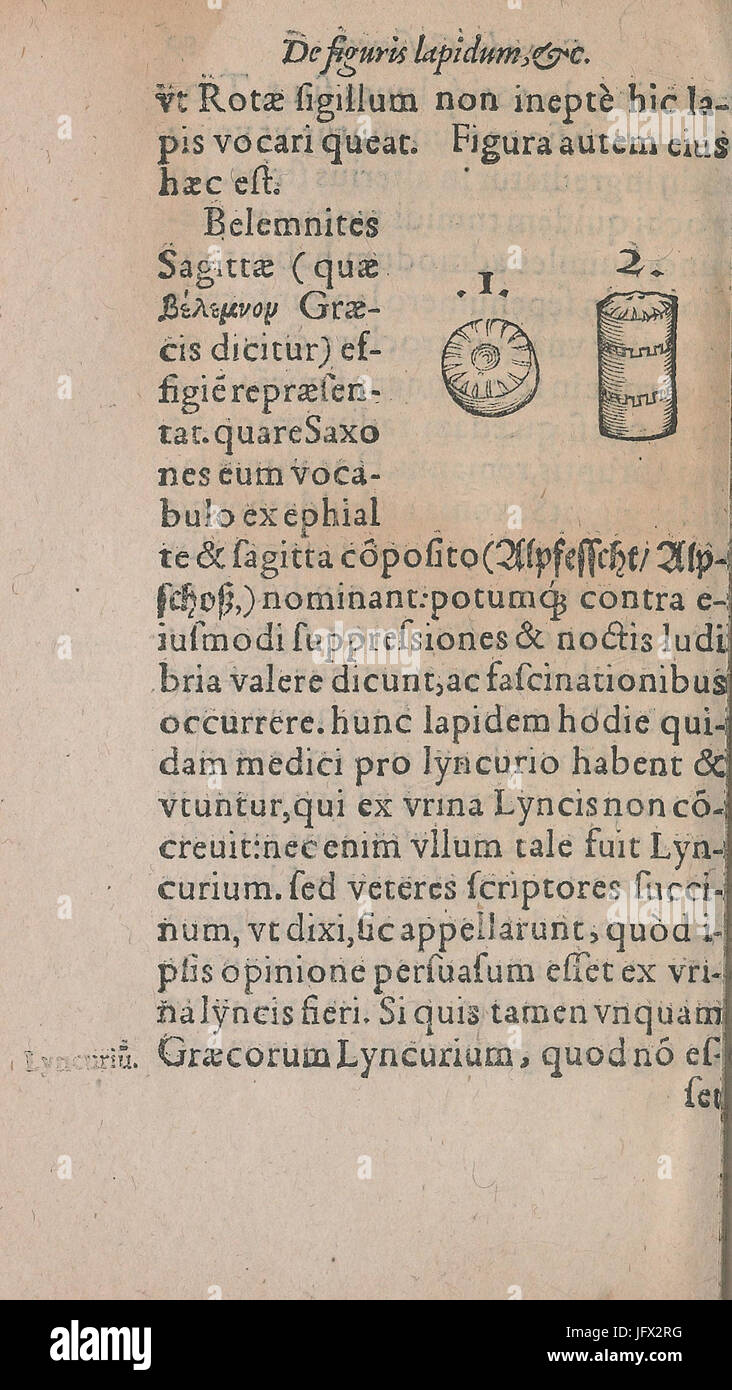 Conradi Gesneri De Rerum Fossilium, Lapidum et Gemmarum Maximè, Figuris und Similitudinibus Liber BHL48518692 Stockfoto