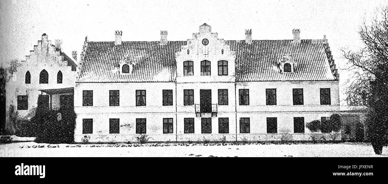 Bjørnemose Stockfoto