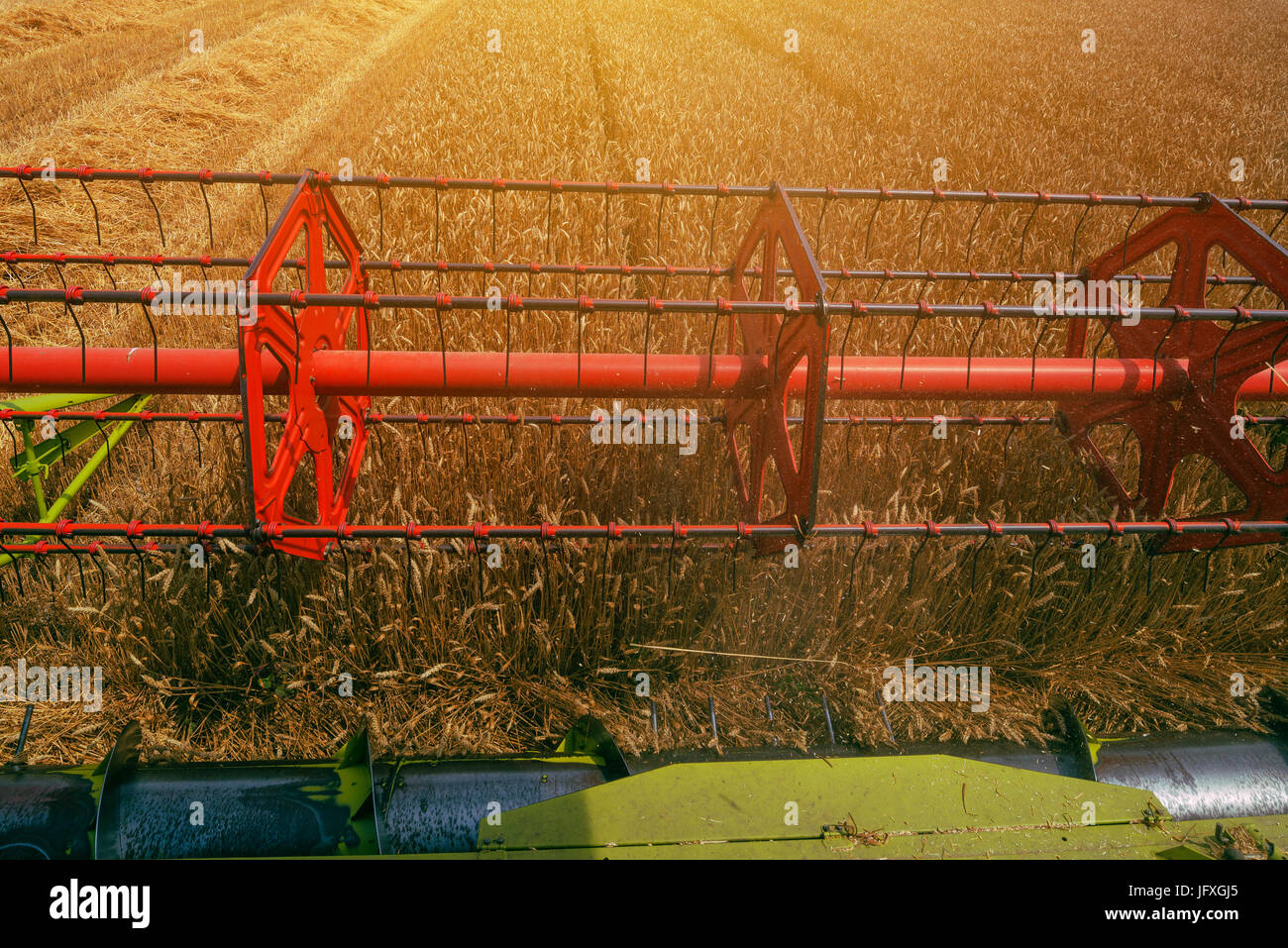 Mähdrescher, die rotierende Walze Ernte Weizenfeld von Bauern pov Stockfoto