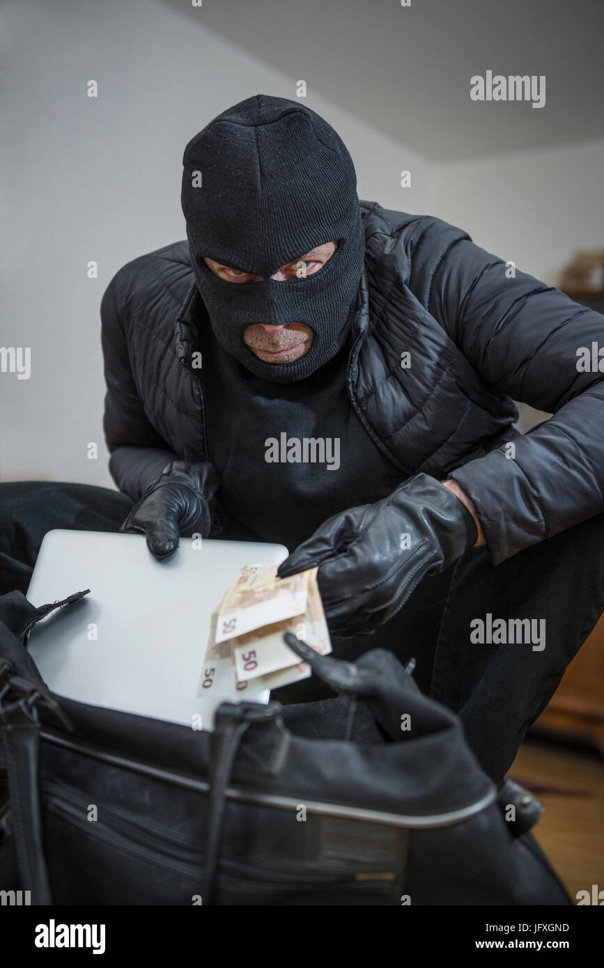 Porträt der Einbrecher stehlen Laptops und fünfzig Euro-Banknoten Stockfoto
