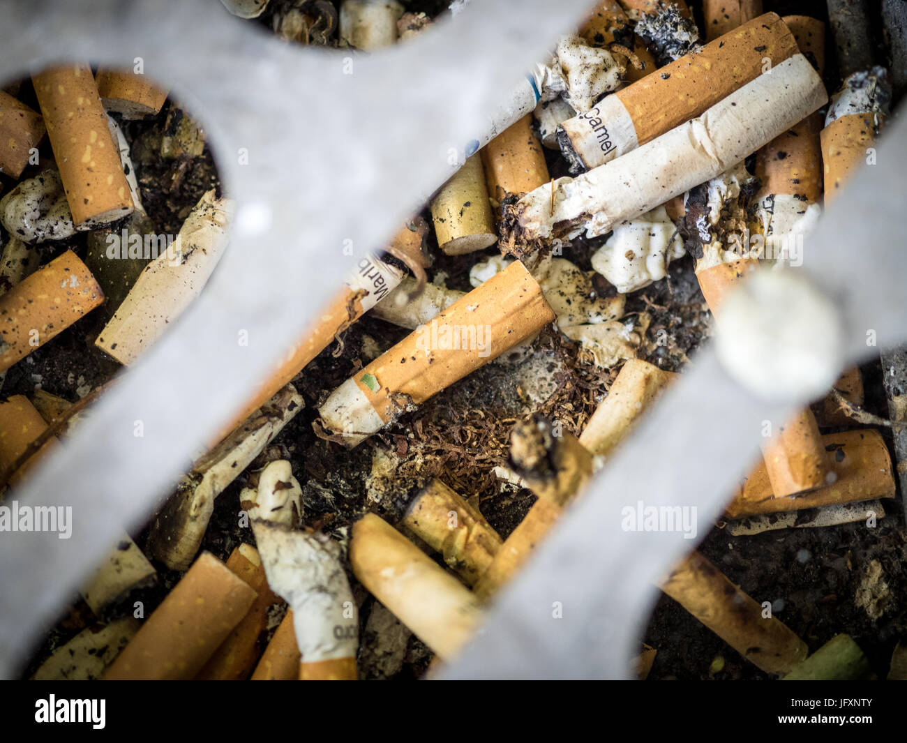 Zigaretten in einem öffentlichen Aschenbecher in London UK ausstupschen. Weggeworfene Zigarettenkippen. Verworfene Hundeenden. Stockfoto