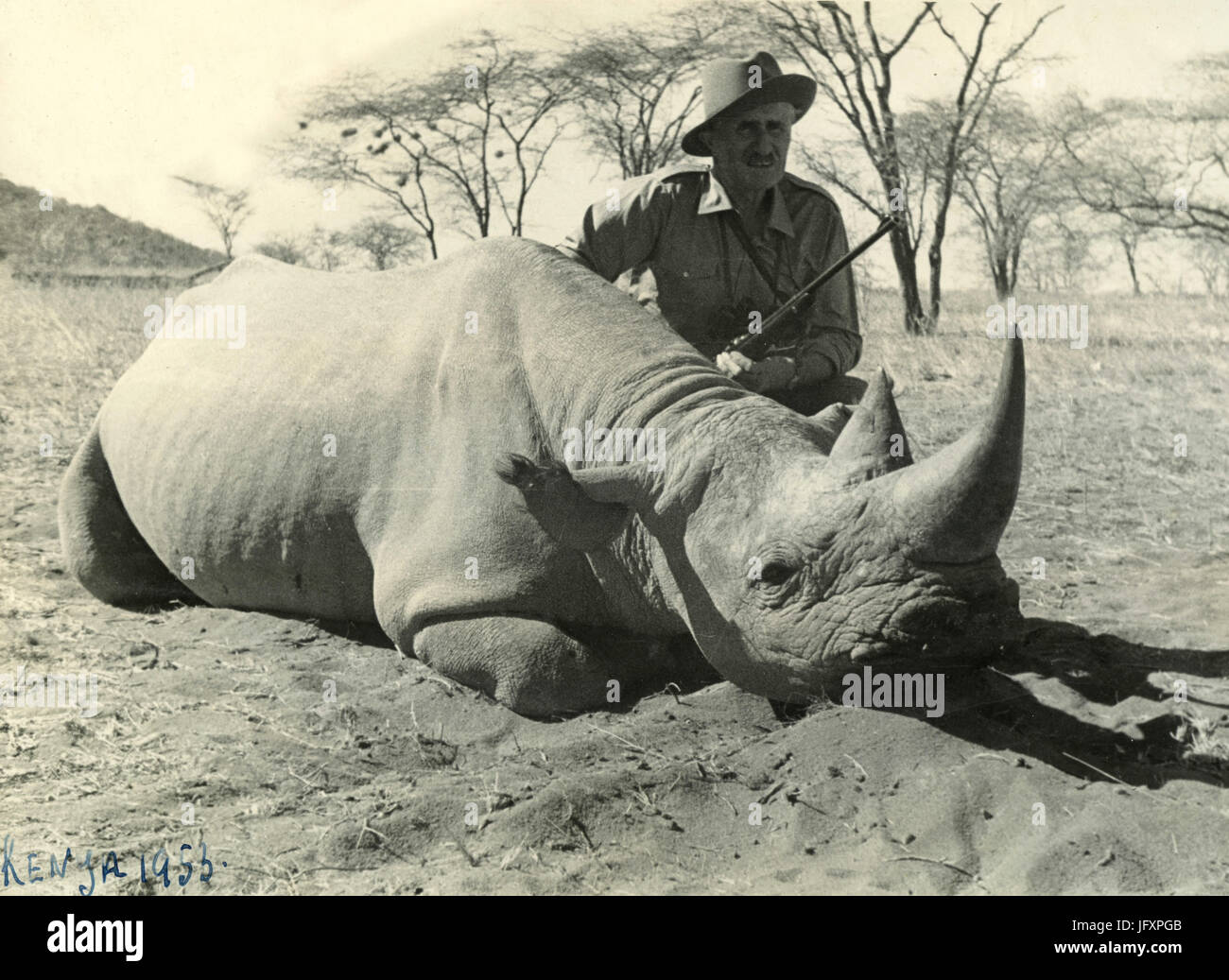 Big Game Jagd Nashorn, Kenia 1953 Stockfoto