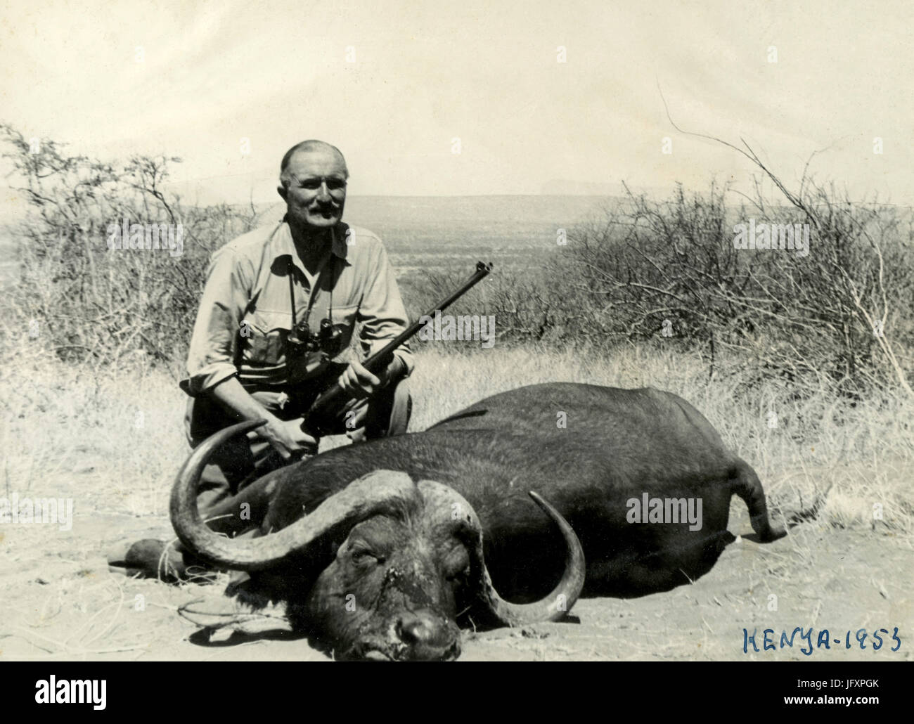 Big Game Jagd Büffel, Kenia 1953 Stockfoto