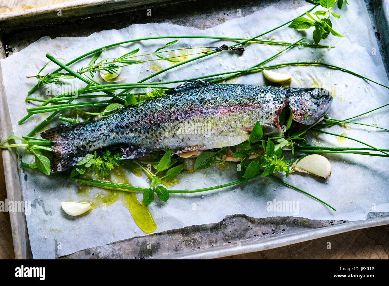 Rohe Forelle, truta Stockfoto