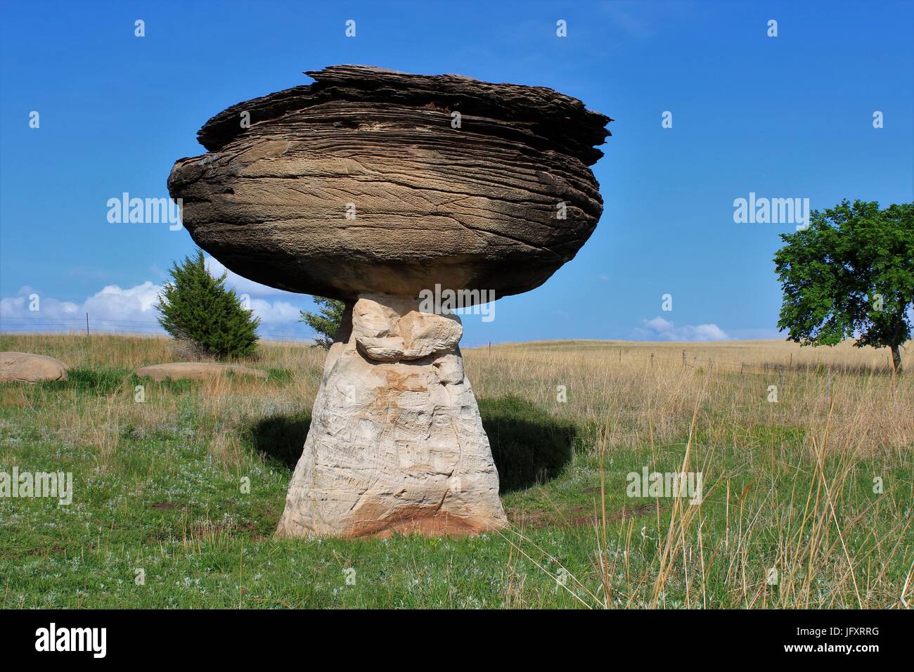 Kansas Pilz State Park mit einem Pilz-Felsen, blauer Himmel, Bäume und Rasen, das nördlich von Kanopolis See in Kansas erschossen wird. Stockfoto