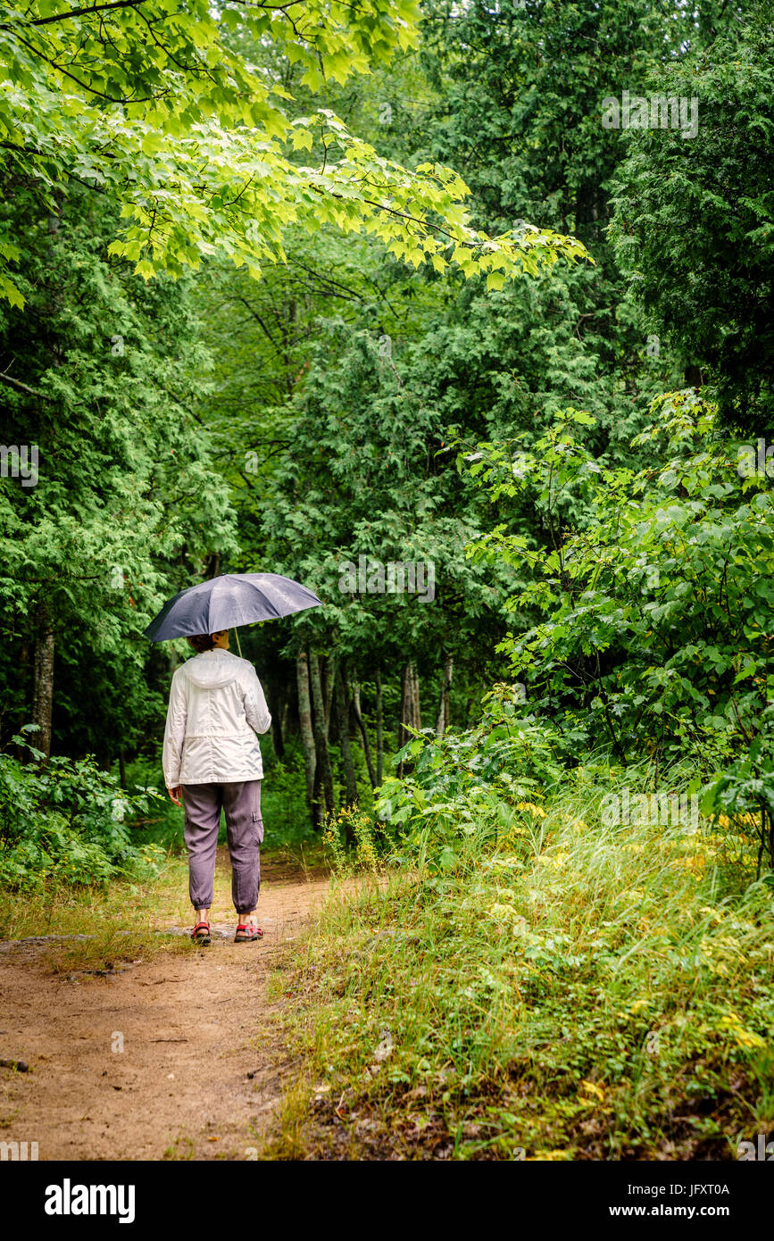 Frau mit Regenschirm ist bei Regen im Wald wandern Stockfotografie - Alamy