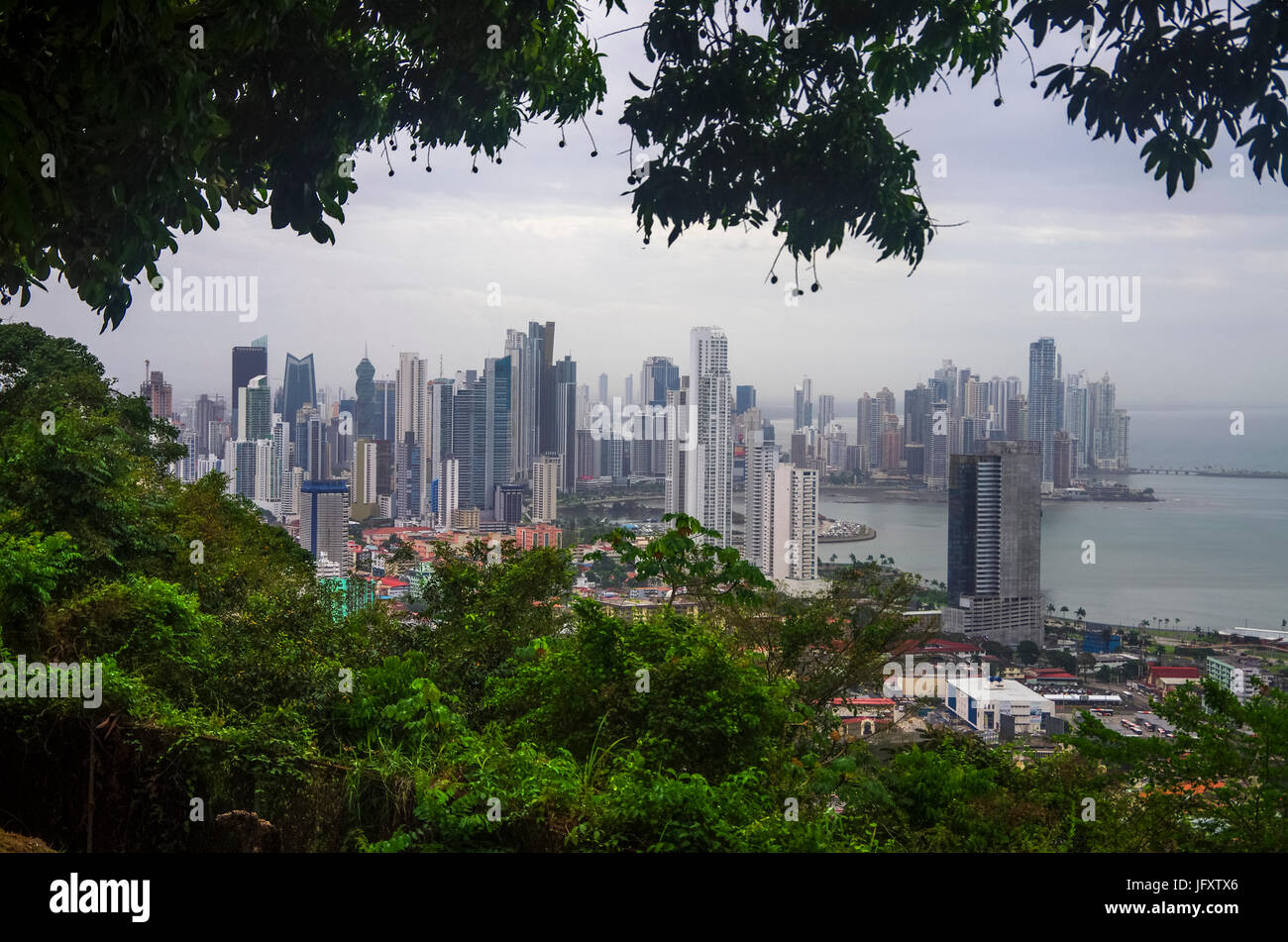 Panama-Stadt-Blick vom Ancon Hügel mit Bäumen im Vordergrund Stockfoto