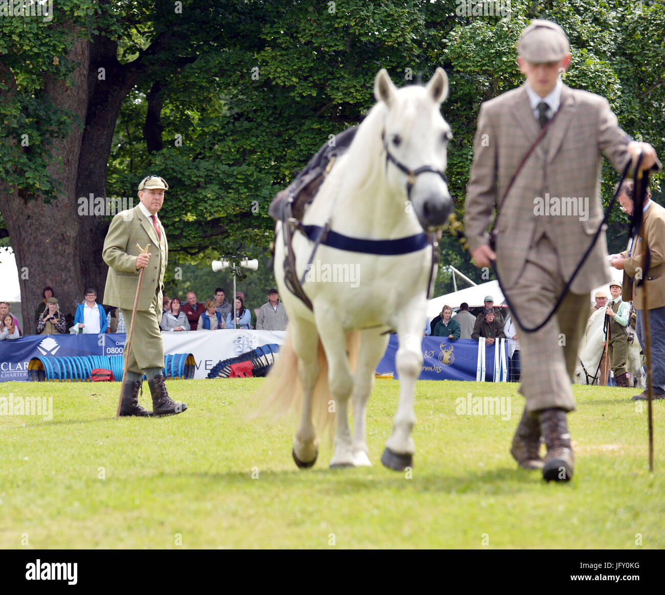 © Sandy junge Fotografie 07970 268944 29. schottischen Fair schottischen Game Fair Fred Taylor Memorial Trophy für Arbeiten Hill Ponys Stockfoto