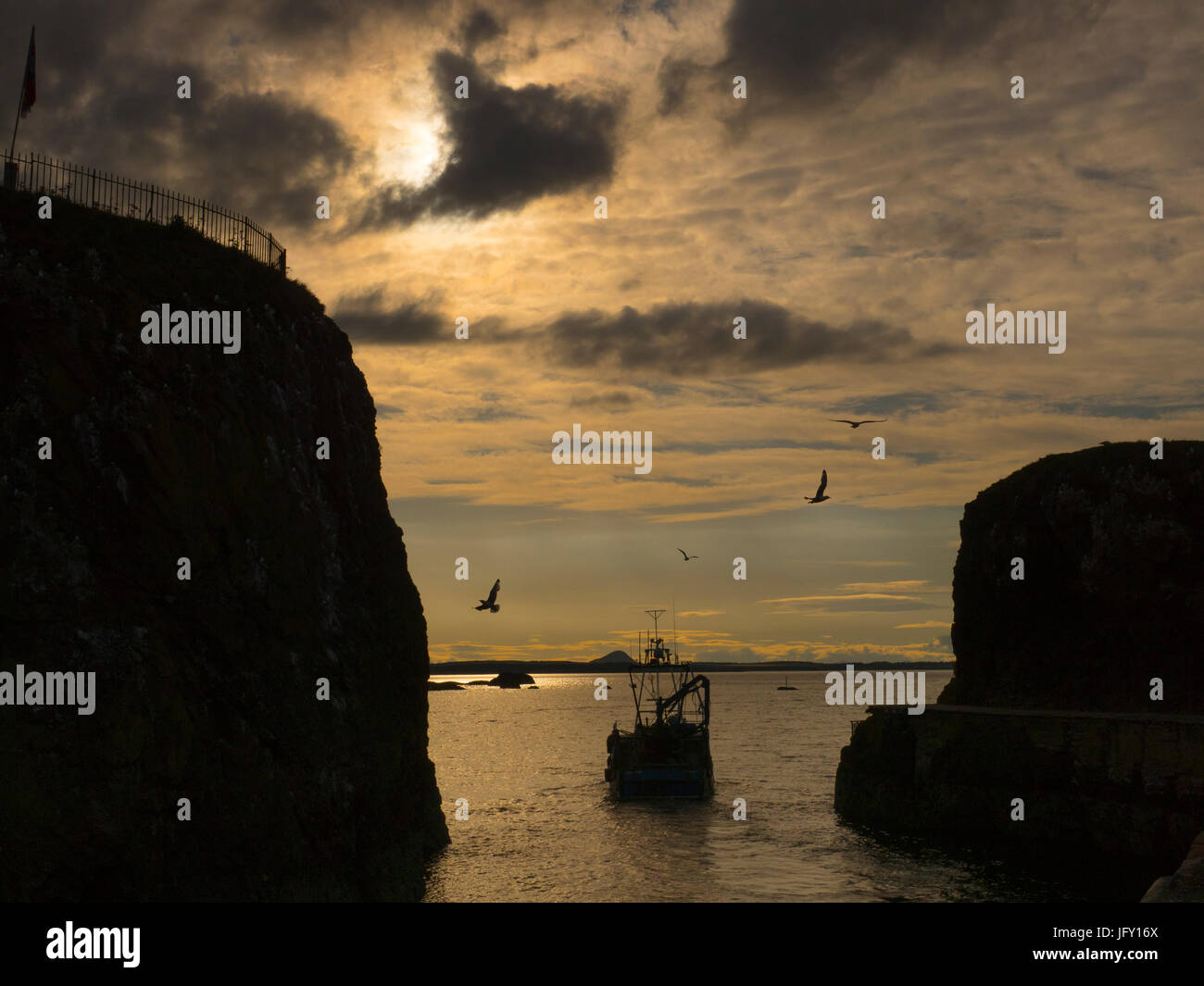 Angelboot/Fischerboot verlassen am Abend Victoria Harbour, Dunbar, East Lothian, Schottland Stockfoto