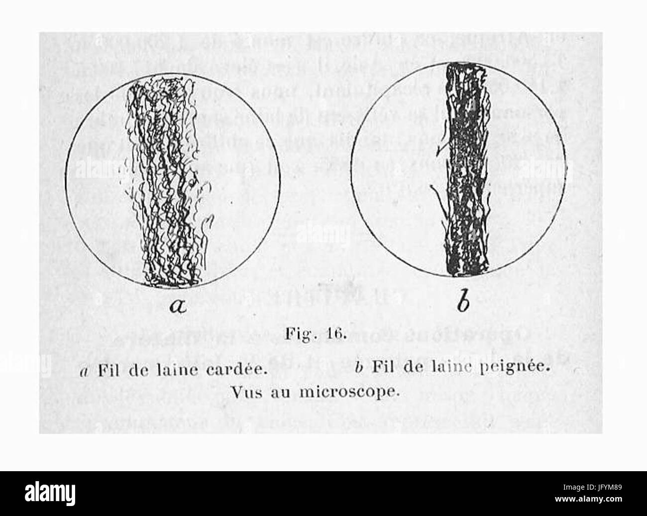 Fil de Laine Peignée 26 cardée Stockfoto