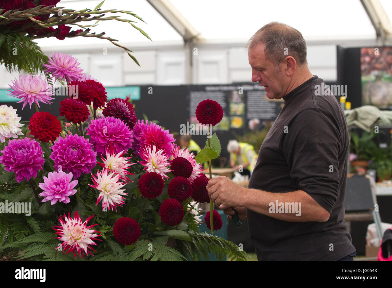 RHS Hampton Court Palace Flower Show 2017, Surrey, England, UK 2. Juni 2017 die letzten Vorbereitungen auf Fasan Hektar Pflanzen Stand vor der Eröffnung des diesjährigen RHS Hampton Court Palace Flower Show 2017.Designers, Züchter, Floristen und Tradestand Aussteller gemacht zusammen kommen für die historische jährliche Gartenschau auf dem Gelände des Hampton Court Palace. Bildnachweis: Clickpics/Alamy Live-Nachrichten Stockfoto