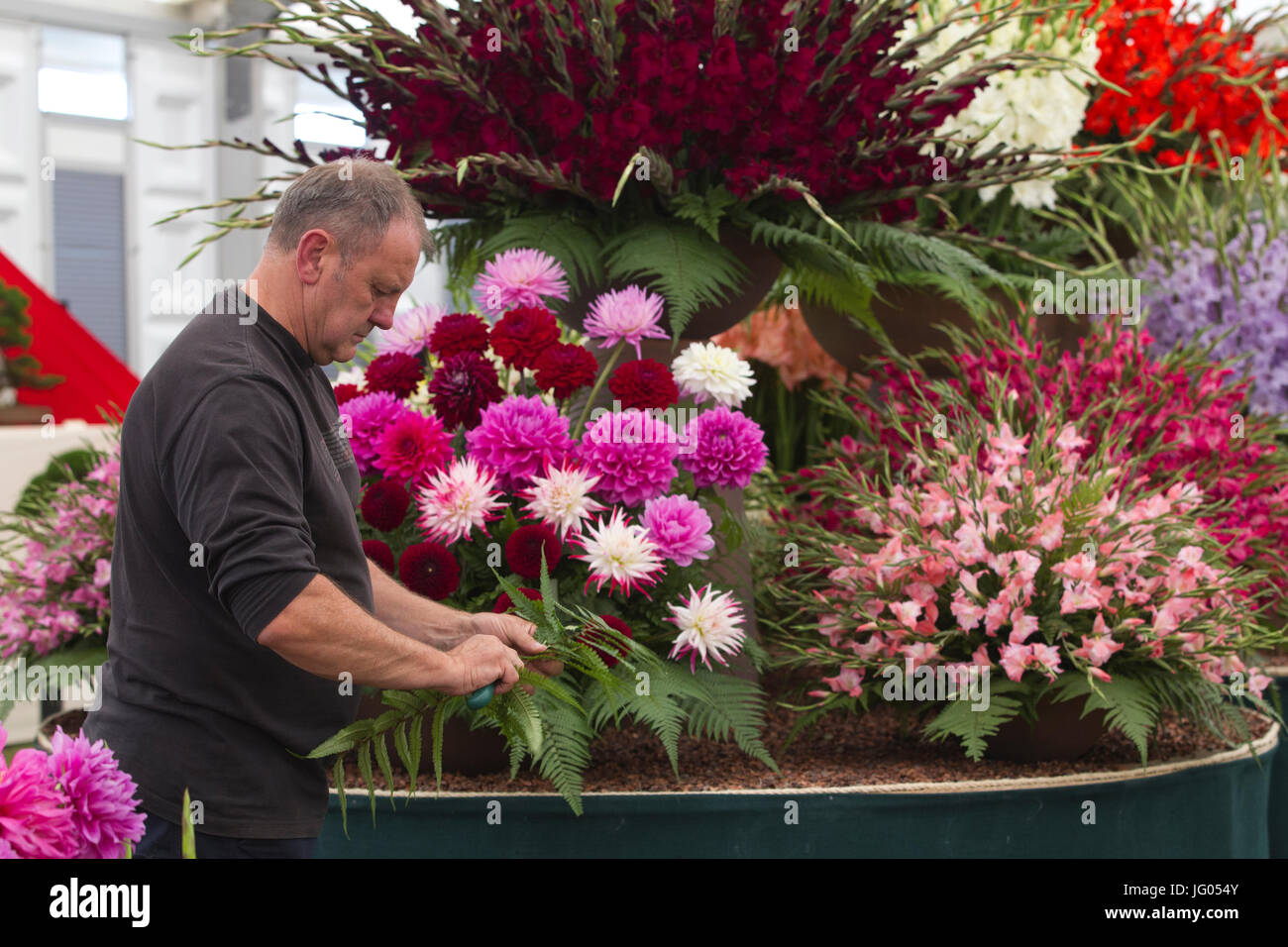 RHS Hampton Court Palace Flower zeigen 2017, Surrey, England, UK 2. Juni 2017 die letzten Vorbereitungen auf Fasan Hektar großen Pflanzen stehen vor der Eröffnung des diesjährigen RHS Hampton Court Palace Flower Show 2017.Designers, Züchter, Floristen und Tradestand Aussteller kommen zusammen für die historische jährliche Gartenschau auf dem Gelände des Hampton Court Palace. Bildnachweis: Clickpics/Alamy Live-Nachrichten Stockfoto