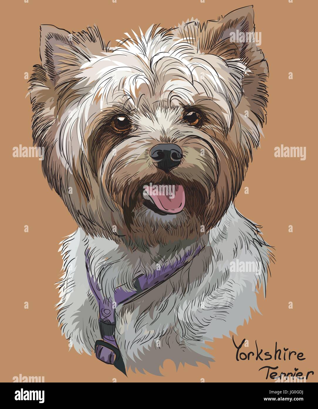 Vektor Porträt der Yorkshire-Terrier in verschiedenen Farbe Handzeichnung Illustration auf orangem Hintergrund Stock Vektor